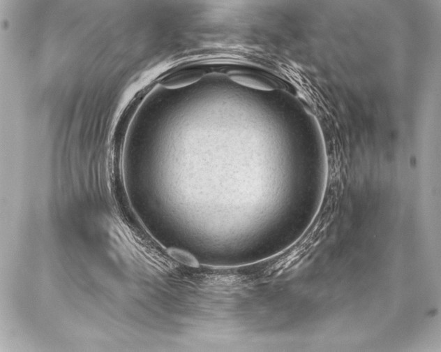 X0000087030342200704161616