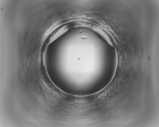 X0000087030344200704161616