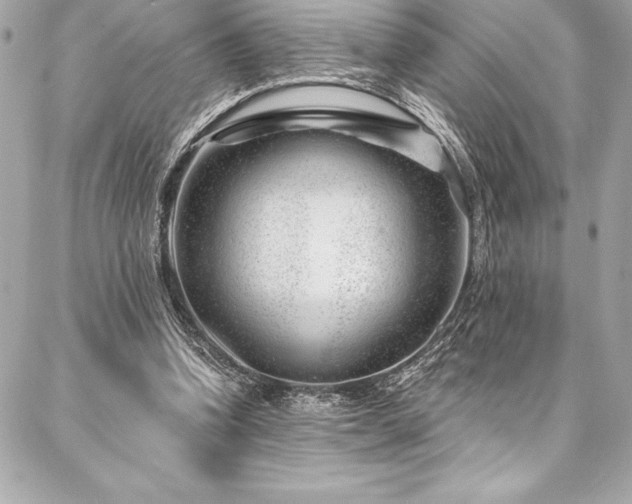 X0000087030346200704161616