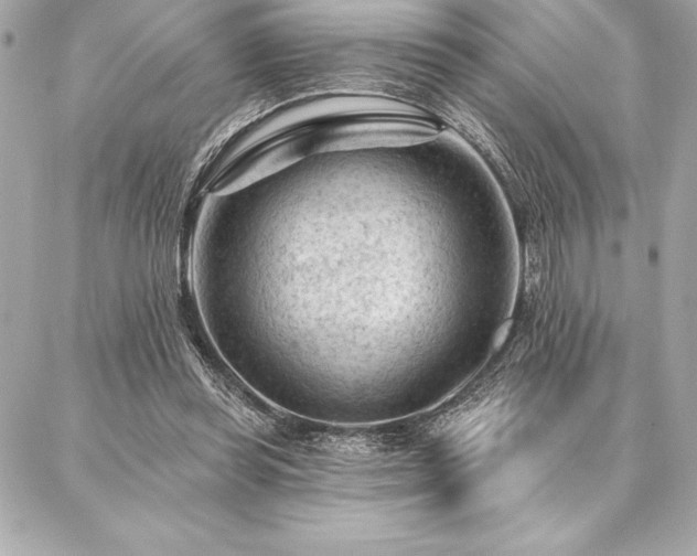 X0000087030349200704161616