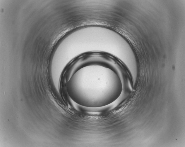 X0000087030352200704161616