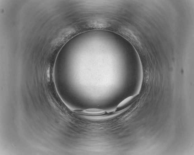 X0000087030358200704161616