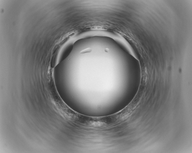 X0000087030360200704161616