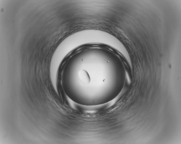 X0000087030368200704161616