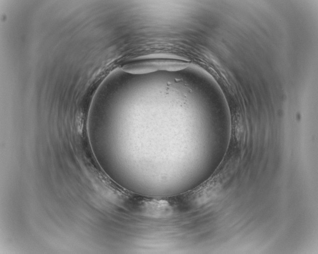 X0000087030374200704161616