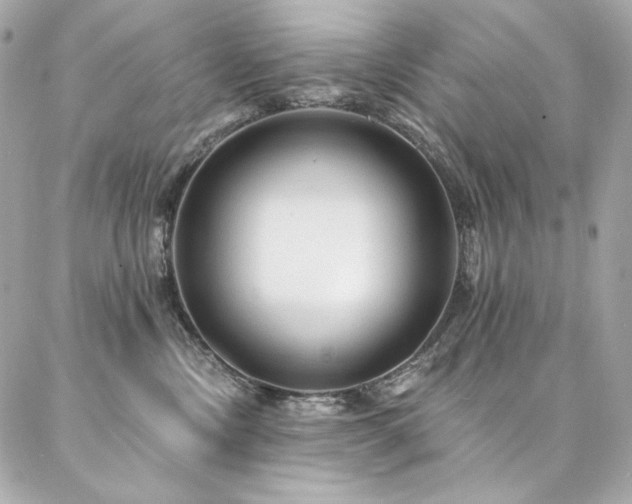 X0000087030378200704161617