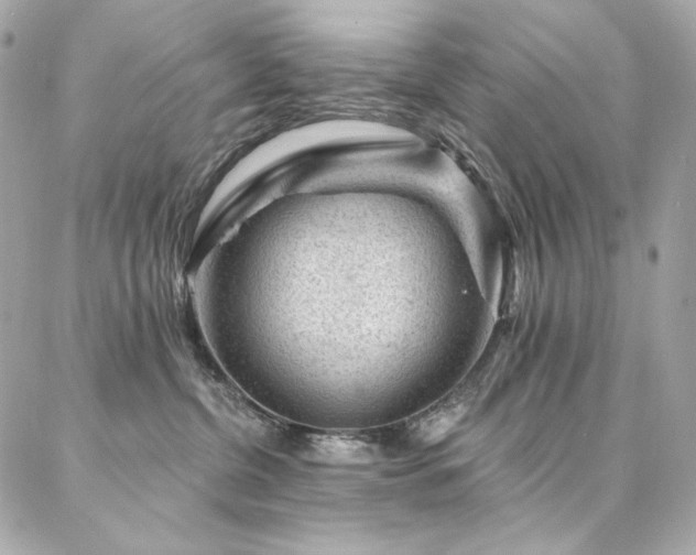 X0000087030380200704161617