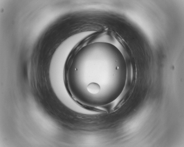 X0000087030382200704161617