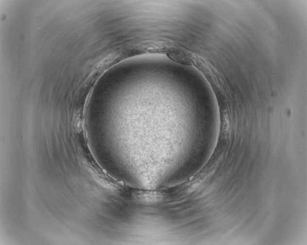 X0000087030383200704161617