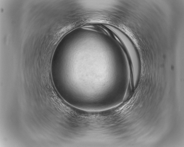 X0000087030385200704161616