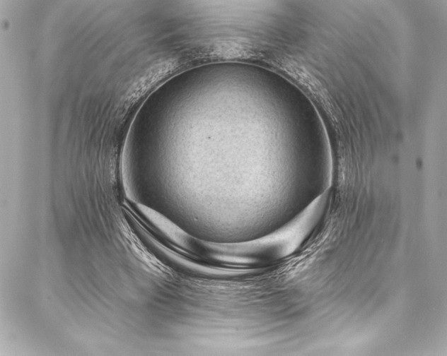 X0000087030393200704161616