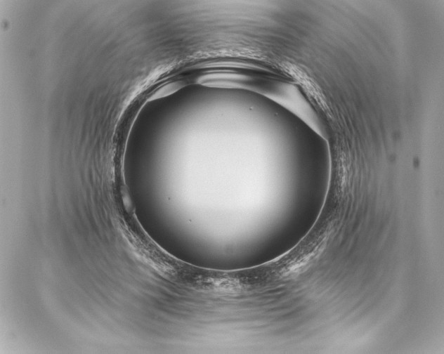 X0000087030395200704161616