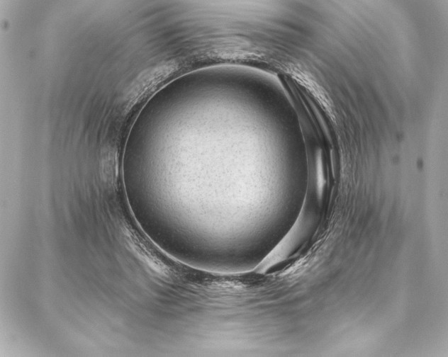 X0000087030397200704161616
