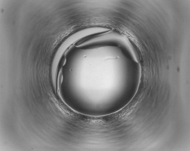 X0000087030401200704161616