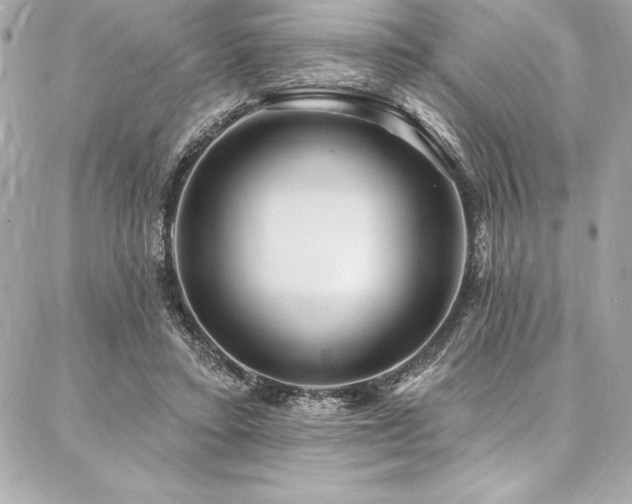 X0000087030403200704161616