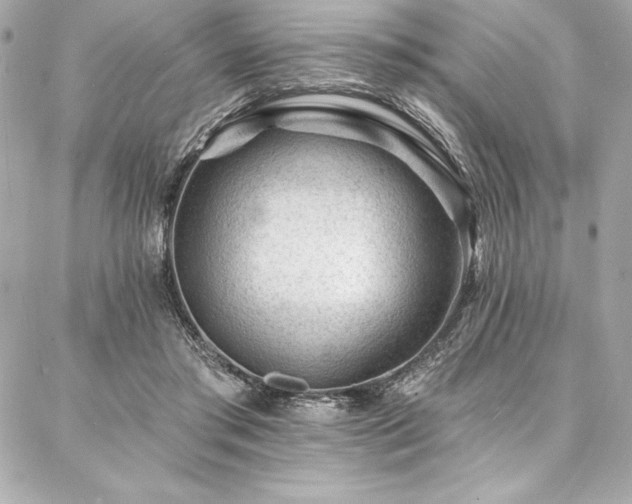 X0000087030405200704161616