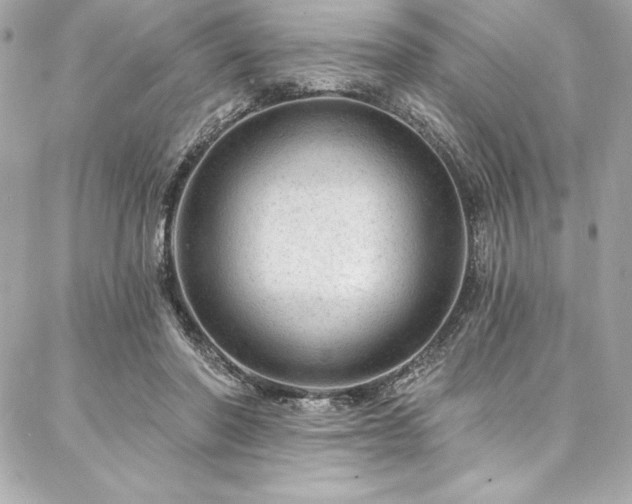 X0000087030406200704161615