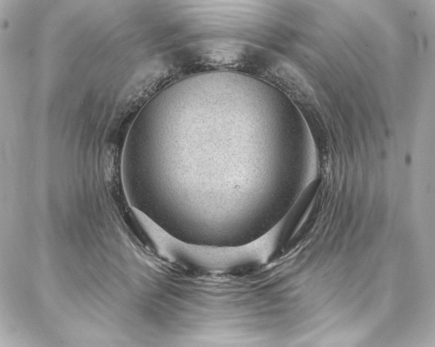 X0000087030412200704161615