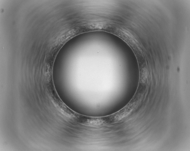 X0000087030414200704161615