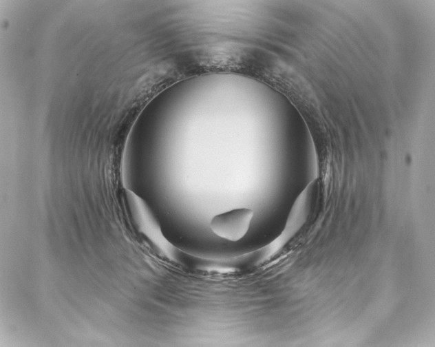 X0000087030416200704161615