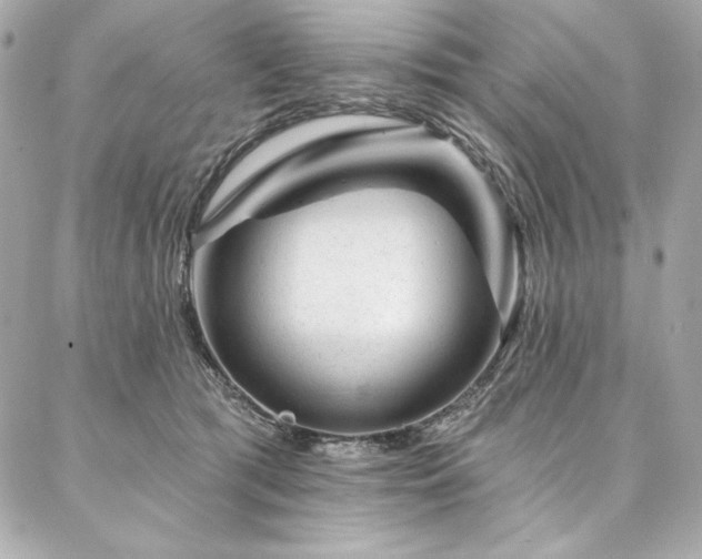 X0000087030417200704161615
