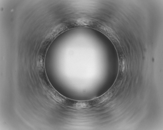 X0000087030418200704161615