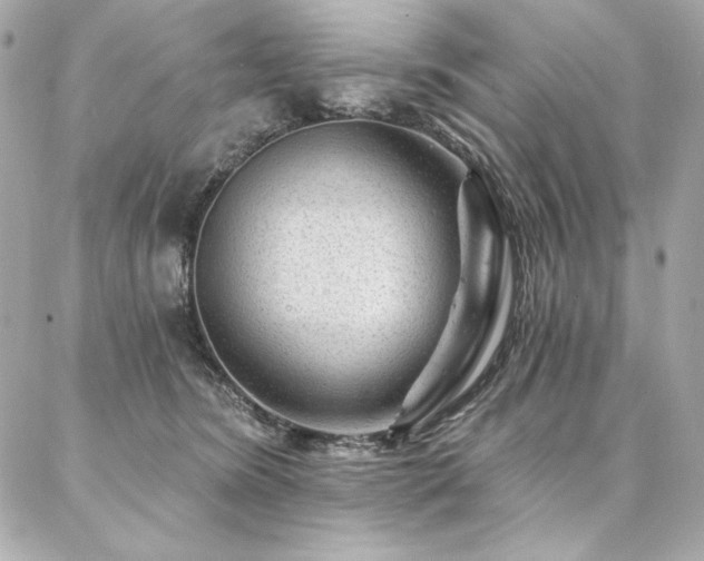 X0000087030420200704161615