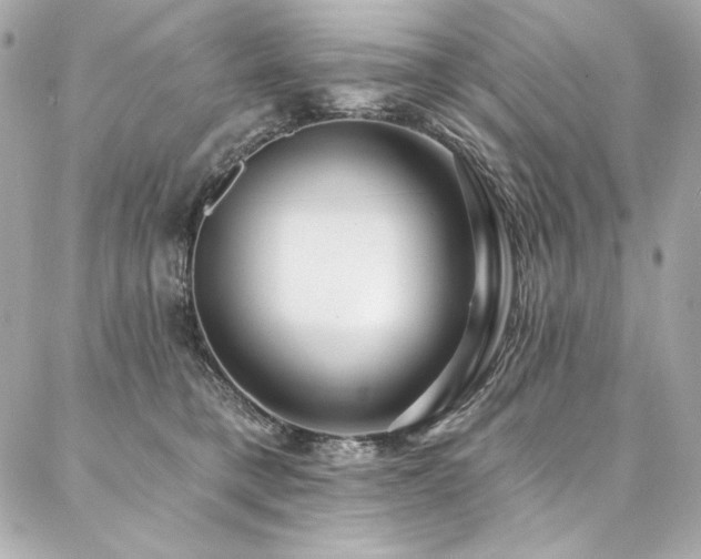 X0000087030421200704161615