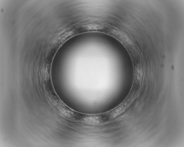 X0000087030422200704161615