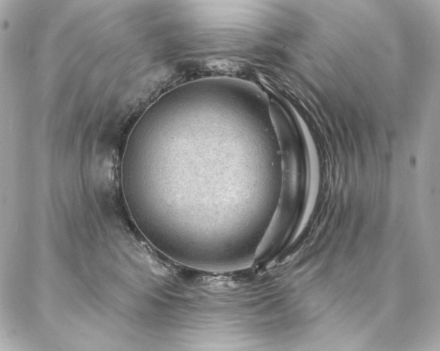 X0000087030424200704161615