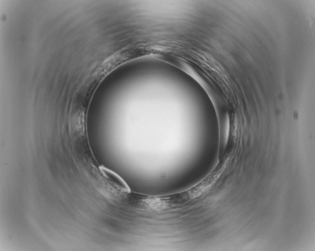 X0000087030425200704161615