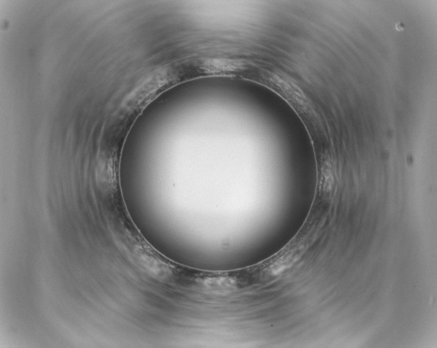 X0000087030426200704161615