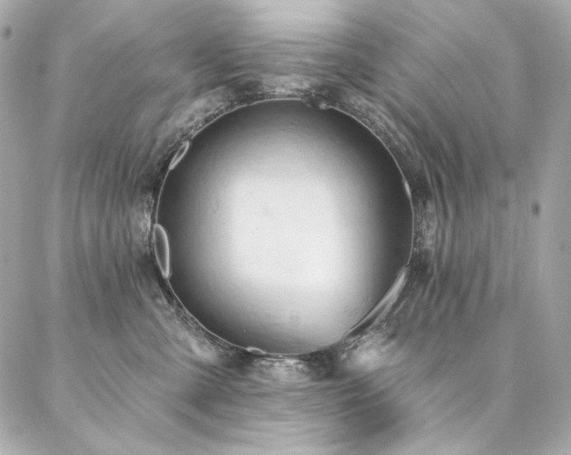 X0000087030427200704161615
