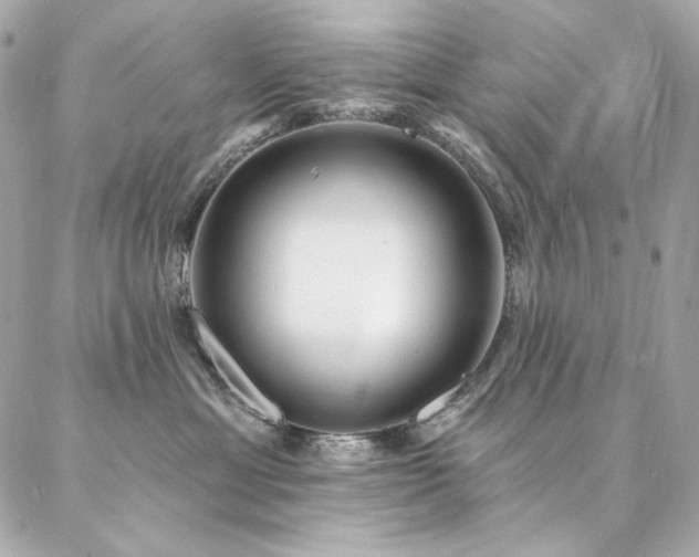 X0000087030429200704161615