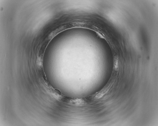 X0000087030431200704161615