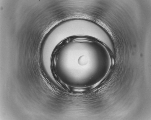 X0000087030436200704161614