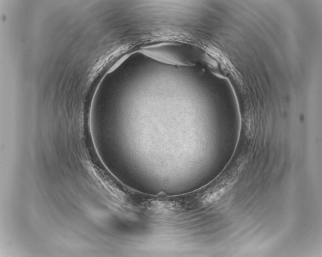 X0000087030442200704161614