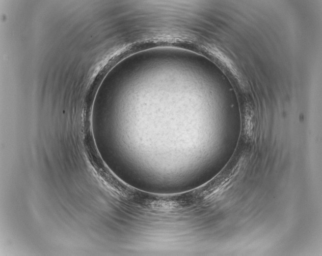 X0000087030444200704161614