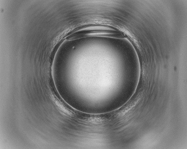 X0000087030445200704161614
