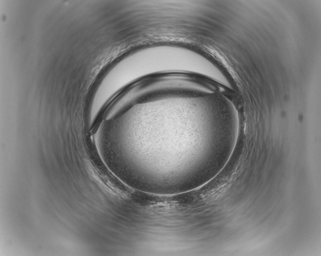 X0000087030447200704161615