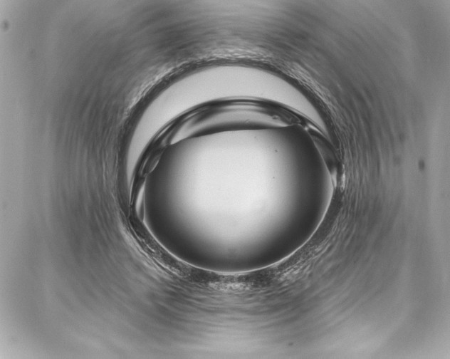 X0000087030448200704161615