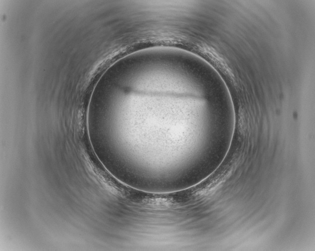 X0000087030449200704161615