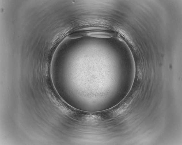 X0000087030453200704161615