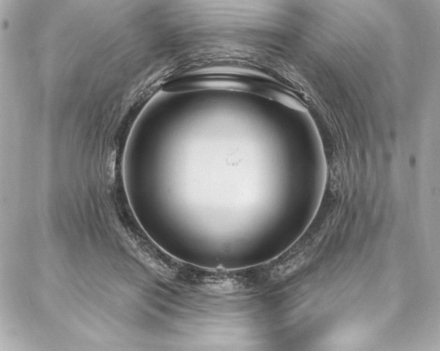 X0000087030454200704161615