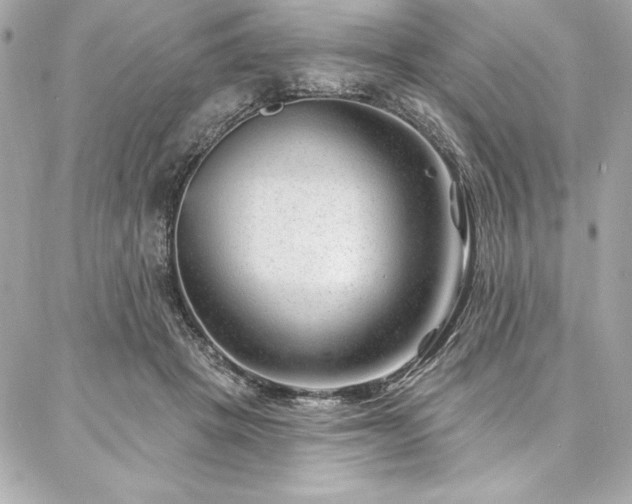 X0000087030457200704161615