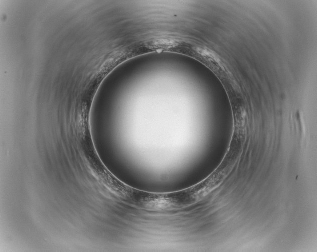 X0000087030460200704161615