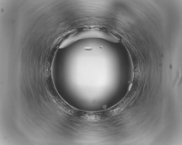 X0000087030464200704161615