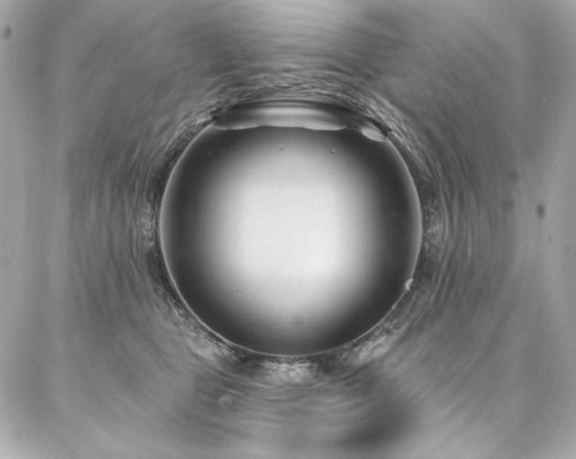 X0000087030469200704161615