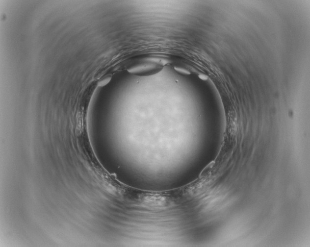 X0000087030471200704161615