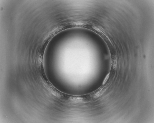X0000087030476200704161615
